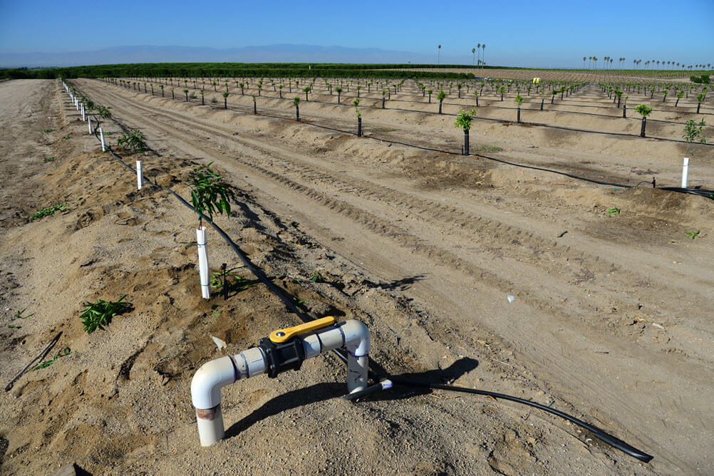 Statewide Water Management Planning in California